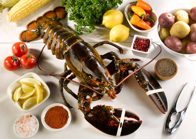 Live Cold Water Wild Lobsters - Image 5