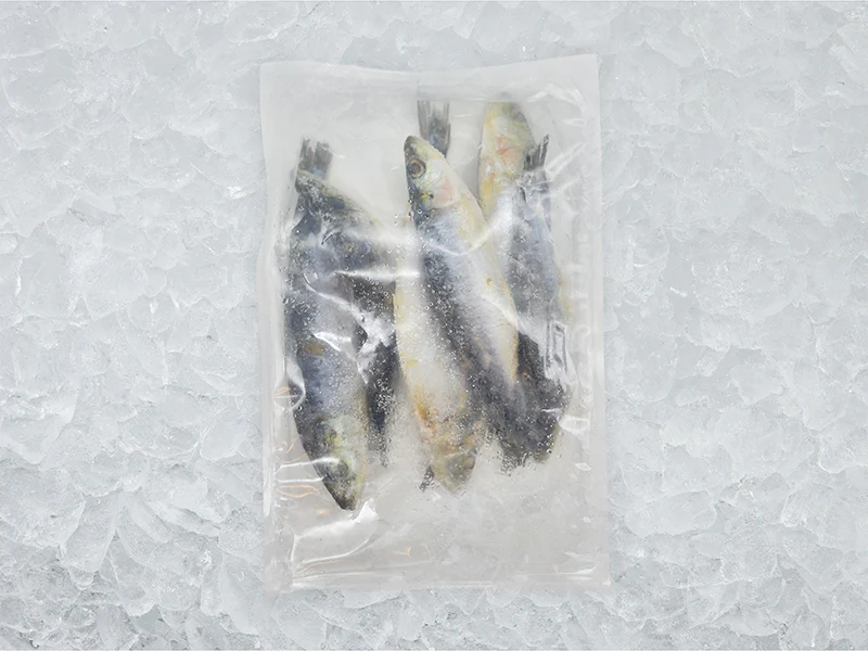 Wild Whole Sardines - 1.1lb - Image 4